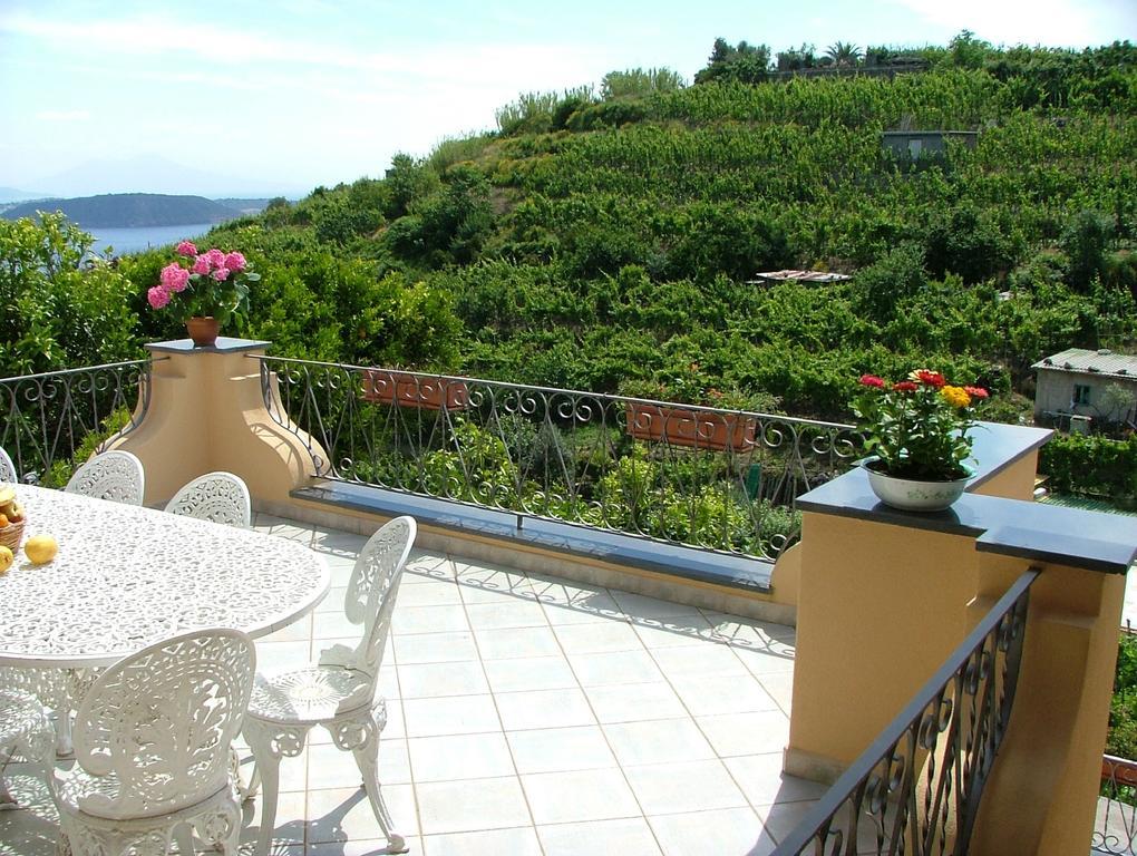 Villa Rosalia Barano dʼIschia Exterior foto